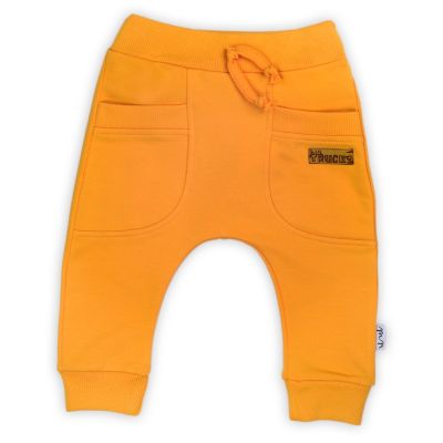 Pantalon de trening (181276) Colectia "Big Trucks" 2021 Marimea 68 PMICNICOL-181276-68