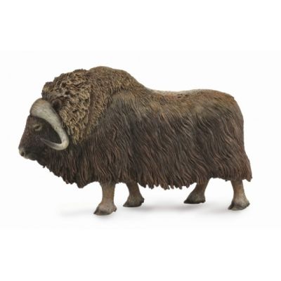Bivol - collecta col88837l
