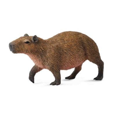 Capibara- collecta col88540m