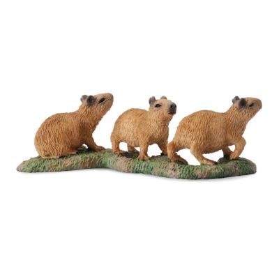 Capibara pui- collecta col88541s