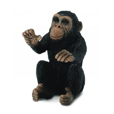 Cimpanzeu pui - collecta col88494s