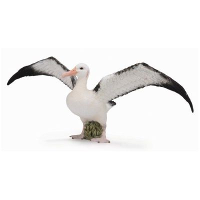Figurina albatros ratacitor l collecta col88765l