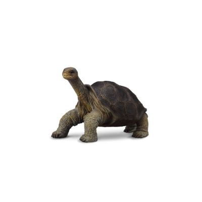 Figurina broasca testoasa din pinta island m collecta col88619m