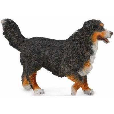 Figurina ciobanesc de bernese l collecta col88801l