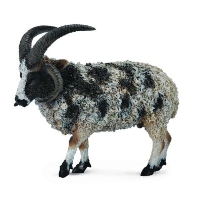 Figurina jacob sheep l collecta col88728l