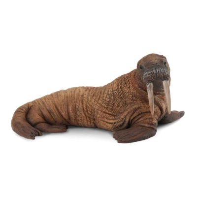 Figurina morsa l collecta col88569l