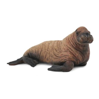 Figurina pui de morsa m collecta col88570m