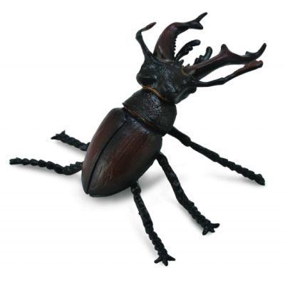 Figurina radasca mascul m collecta col88703m