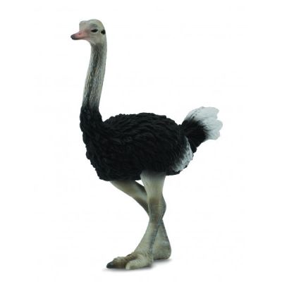 Figurina strut l collecta col88459l