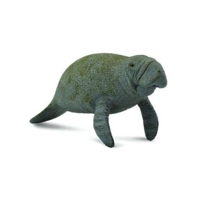Lamantinul - collecta col88455l