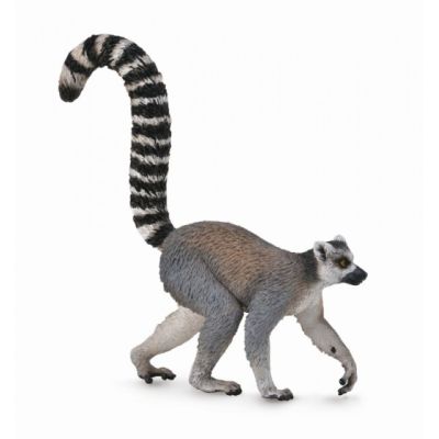 Lemur cu coada-inel - collecta col88831m