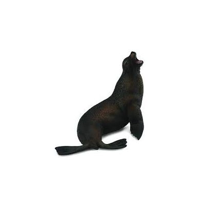 Leu de mare- collecta col88454l