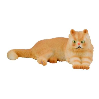 Pisica persana - collecta col88330s