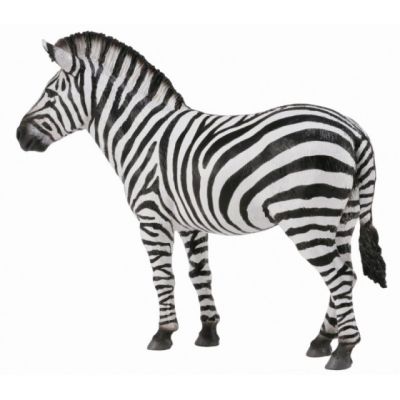 Zebra - collecta col88830l