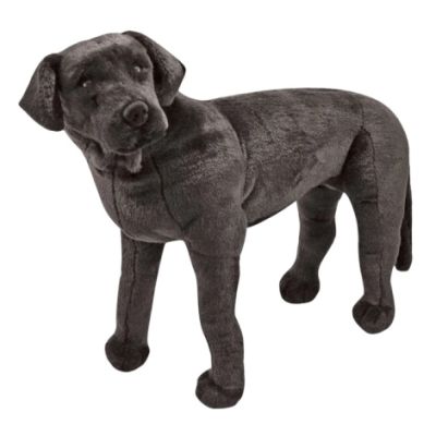 Catel labrador negru gigant din plus md2117