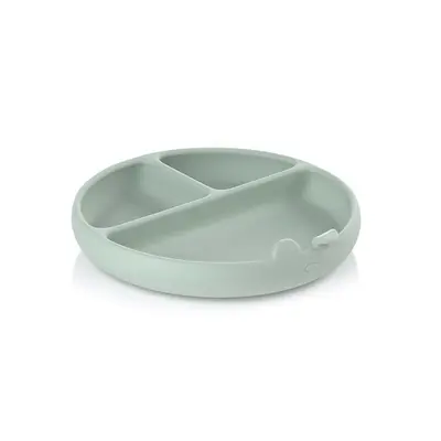 Farfurie BLW, Din silicon, Cu ventuze, 17 x 17 x 4 cm, BPA Free, Mint BYN8420421089354