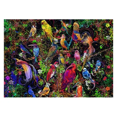 Puzzle Arta Pasarilor, 1000 Piese ARTRVSPA16832