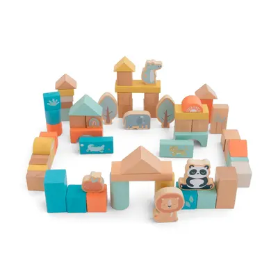 Cuburi Din Lemn, Colorate, 60 Bucati Diferite Forme Pjb3350