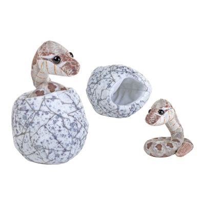Sarpe iesit din ou hatchling wr29756