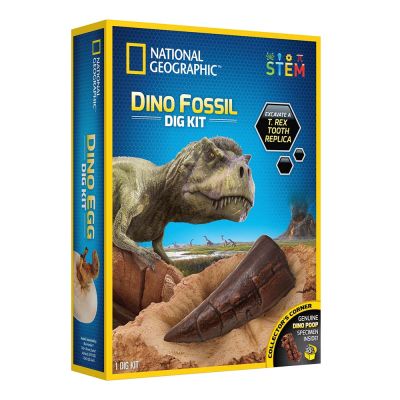 National Geographic - Kit Creativ Sa Cautam Dinozauri ARTNG29653