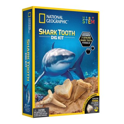 National Geographic - Kit Creativ Sa Cautam Dinti De Rechini ARTNG29660