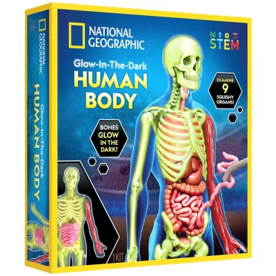 National Geographic - Kit creativ stiinta corpului uman ARTNG23050