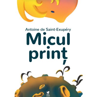 Micul print - Antoine De Saint - Exupery BITmiculprint