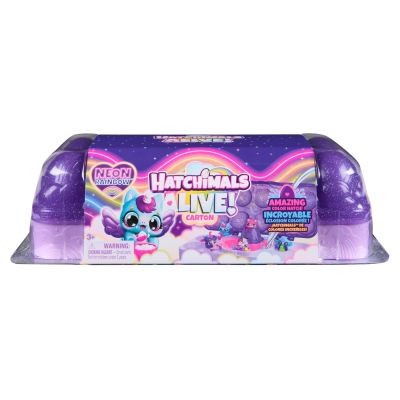 HATCHIMALS ALIVE NEON RAINBOW SET CARTON OUA VIV6072615