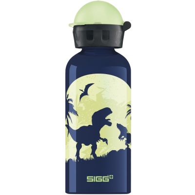 Bidon din aluminiu Glow Moon Dinos, 0.4l