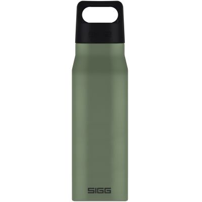 Bidon din otel inoxidabil Explorer Leaf Green, 1l