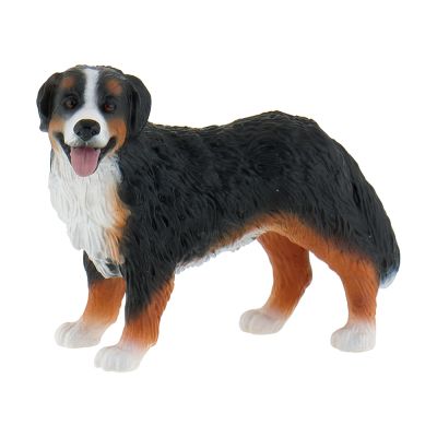 Caine ciobanesc de berna bl4007176654491