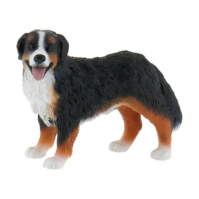Caine ciobanesc de berna bl4007176654491