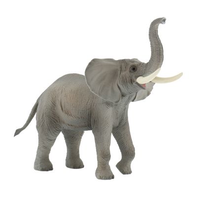 Elefant african bl4007176636855
