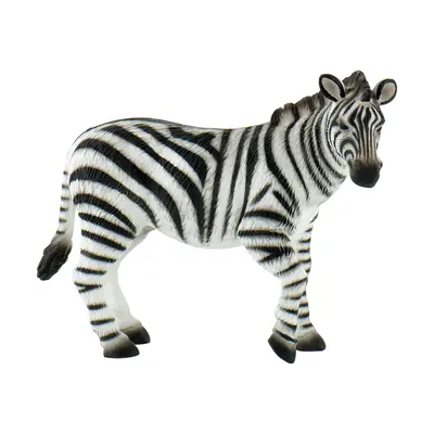 Zebra bl4007176636756