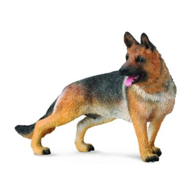 Ciobanesc german col88552l