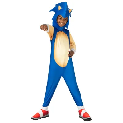 Costum de carnaval - ariciul sonic