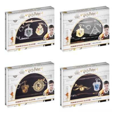 Harry Potter - Set brelocuri premium, 6 buc BKFHP8550