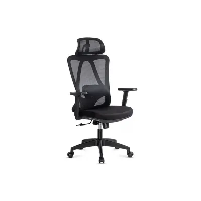 Scaun birou ergonomic OFF987, mesh, mecanism a-sincron, cotiere reglabile, 110 kg, negru DRM10648