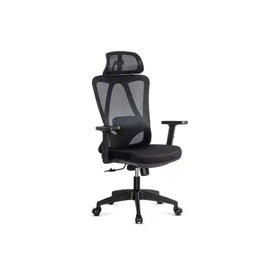 Scaun birou ergonomic OFF987, mesh, mecanism a-sincron, cotiere reglabile, 110 kg, negru DRM10648