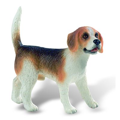 Caine rasa "BEAGLE" - BL4007176654248