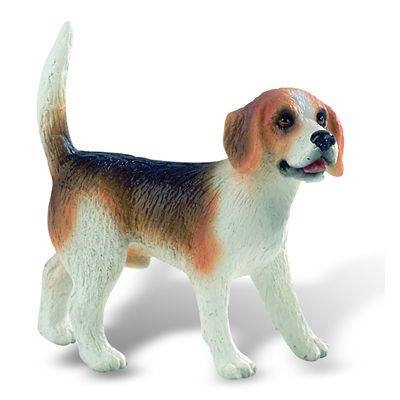 Caine rasa "BEAGLE" - BL4007176654248