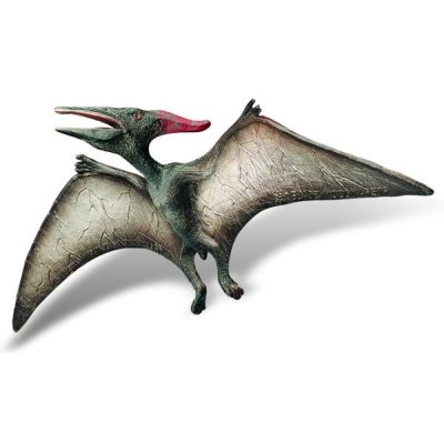 Pteranodon - BL4007176613641