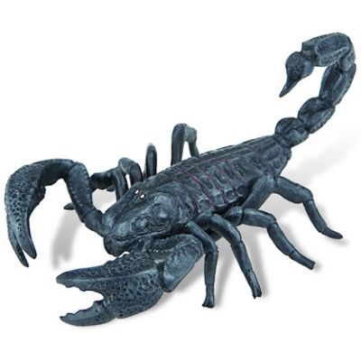 Scorpion - BL4007176683897