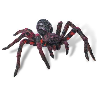 Wolf Spider - BL4007176684306