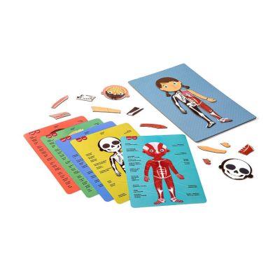 Set creativ cu magneti, APLI, tema Corp uman, 63 magneti, 5 planse, 28 x 18 cm