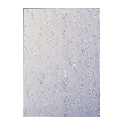 Coperti indosariere Apex, imitatie piele, A4, albe, 100 coli/top BPTCAY110303