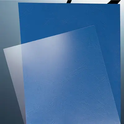 Coperti indosariere Leitz, transparent mat, A4, 250 microni, 100 coli/top BPTCSL093105