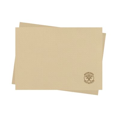 Placemat Celtex, 30 x 40 cm, 1 strat, 200 bucati/set, rezistent, fin BPTCCE000018