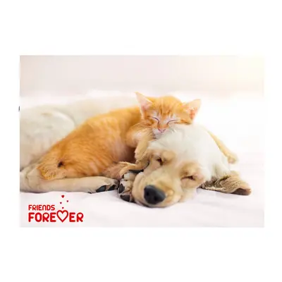 Caiet mecanic PP A4, design animale BPTCPJ006749