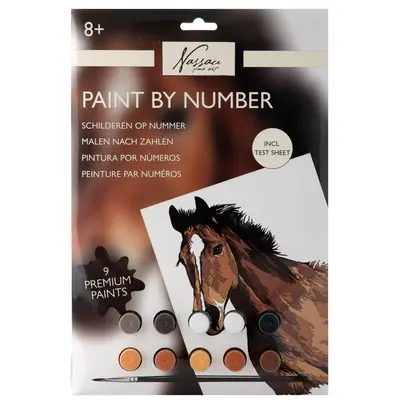 Pictura pe numere Creative Craft, 33x23 cm, model horse BPTCJK138982
